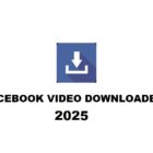 Facebook Video Downloader 2025