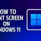 How To Print Screen on Windows 11