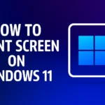 How To Print Screen on Windows 11