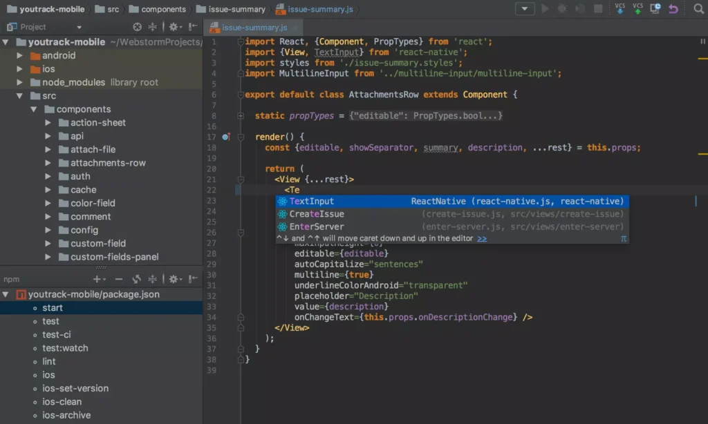JetBrains WebStorm 2025 Screenshot