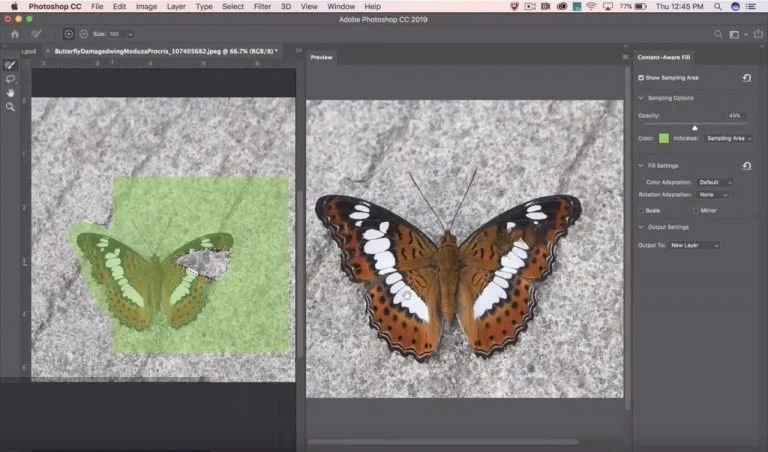 Adobe Photoshop CC 2019 Screenshot 2