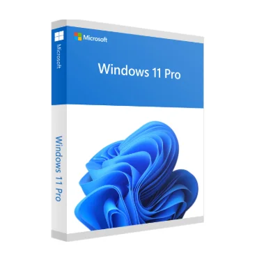 Windows 11 Pro getintopc