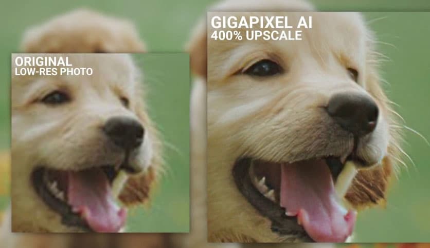 Topaz Gigapixel AI Pro 2026 Screenshot